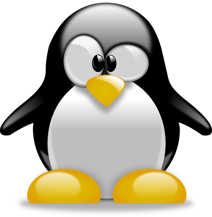 Design Linux File System